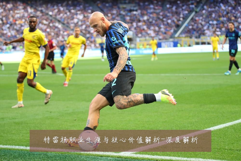 特雷杨职业生涯与核心价值解析-深度解析